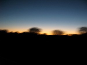 IMG_2643