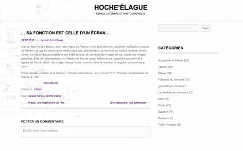 Article «…sa fonction est celle d’un écran…» 03/12/2012.