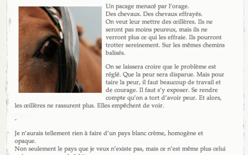 «Des chevaux effrayés», 13 spetembre 2013, site Le carnet de flânage.