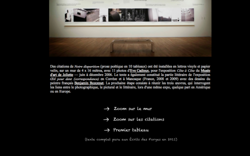 Projet Notre disparition, présent sur le site, Chroniques de riens. 