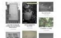 Première page du site de Benoit Bordeleau, Hoche’élague. 
