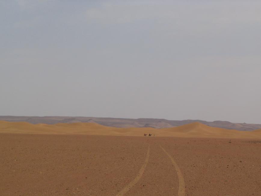 Bouvet, Rachel. 2004. «Désert du Sahara (Maroc), novembre 2004» 