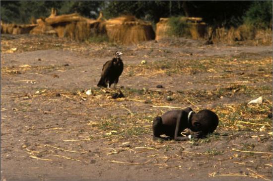 Fig. 1: Carter, Kevin. 1993. Soudan. «La fillette et le vautour»