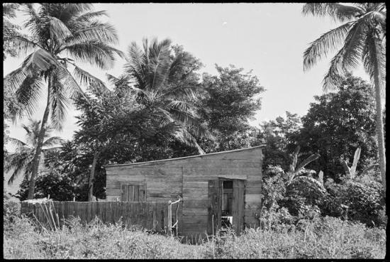 Photo d'une case située à Pointe-à-Pitre en Guadeloupe