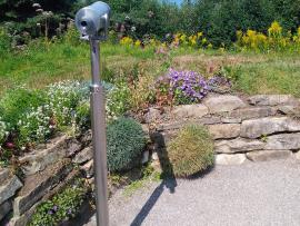 Longue vue dans un jardin